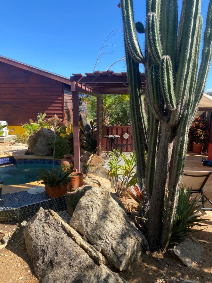 Cozy Studio With Private Spa Oranjestad Exterior photo